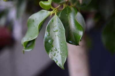 DSC_3804.JPG