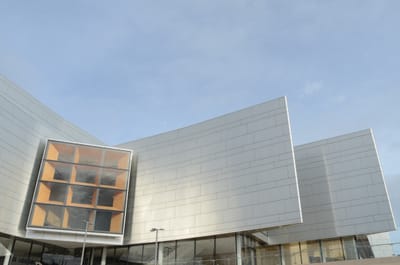 DSC_7412.JPG