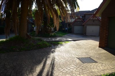 DSC_3253.JPG