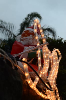 DSC_8474.JPG