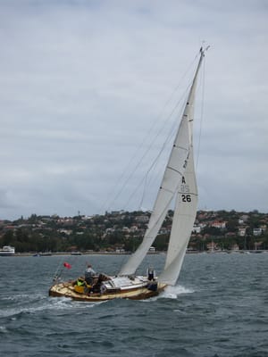 IMG_5347.jpg