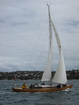 IMG_5350.jpg