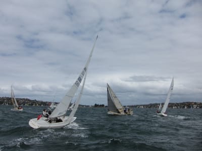 IMG_5356.jpg