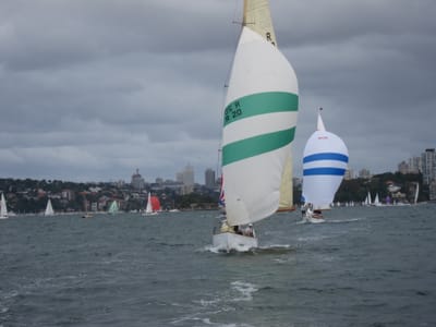 IMG_5367.jpg