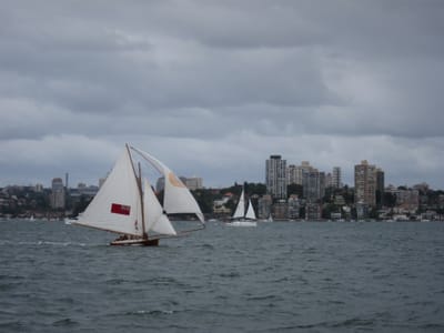 IMG_5372.jpg