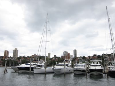 IMG_5376.jpg