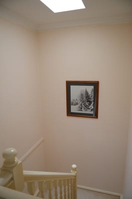 DSC_4266.JPG