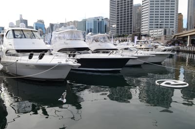 DSC_4282.JPG