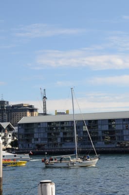 DSC_4290.JPG