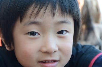 DSC_4296.JPG