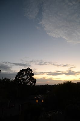 DSC_1233.jpg