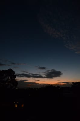 DSC_1245.jpg