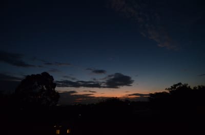 DSC_1247.jpg