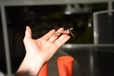 DSC_7573.JPG