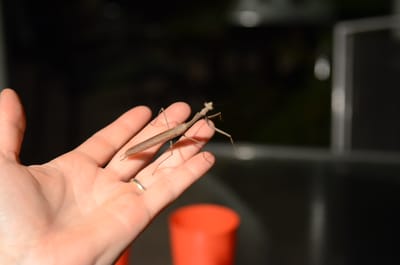 DSC_7574.JPG