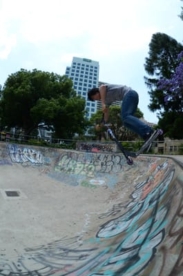 DSC_7709.JPG