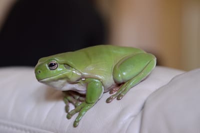 DSC_5176.JPG