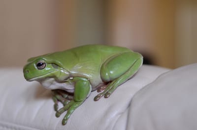 DSC_5177.JPG