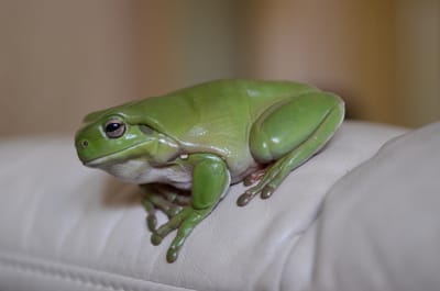 DSC_5178.JPG
