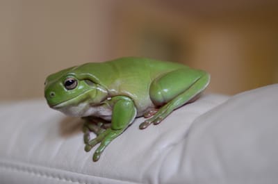 DSC_5179.JPG