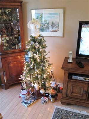 A001 Our Christmas Tree.jpg