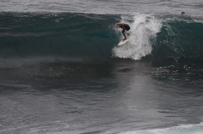 DSC_0338.JPG
