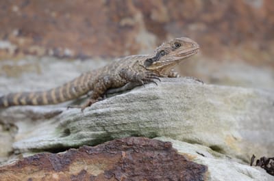 DSC_0346.JPG
