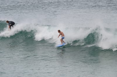 DSC_0350.JPG