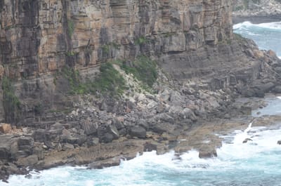 DSC_0357.JPG