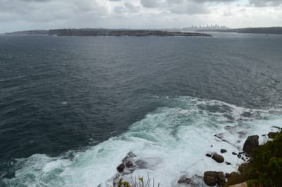DSC_0360.JPG