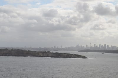 DSC_0367.JPG