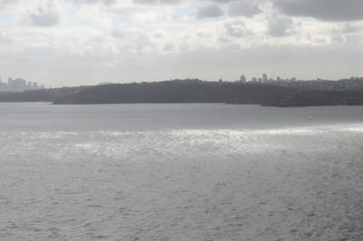 DSC_0371.JPG