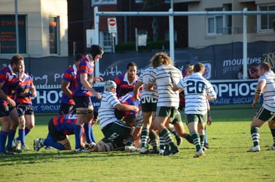 DSC_1718.JPG