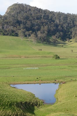 DSC_5736.JPG