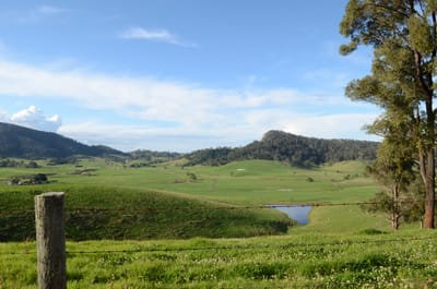 DSC_5741.JPG