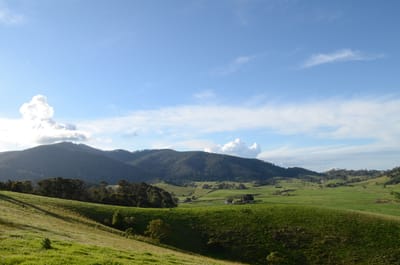DSC_5742.JPG