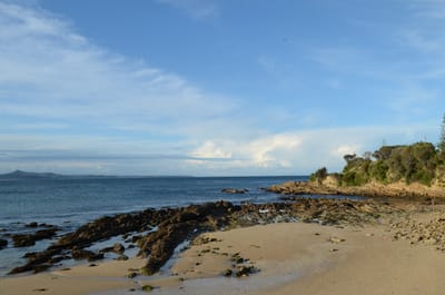 DSC_5748.JPG