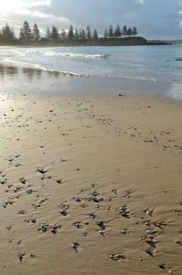 DSC_5751.JPG