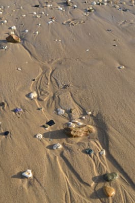 DSC_5753.JPG