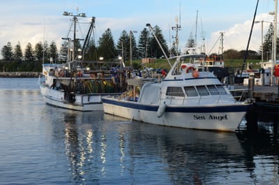 DSC_5758.JPG