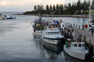 DSC_5762.JPG