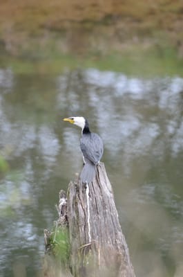 DSC_5774.JPG