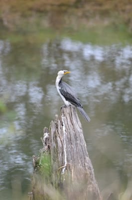DSC_5775.JPG