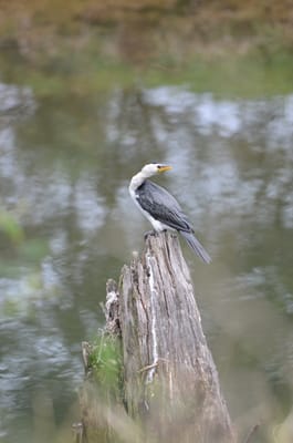 DSC_5776.JPG