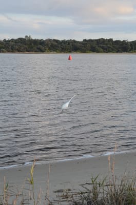 DSC_5885.JPG