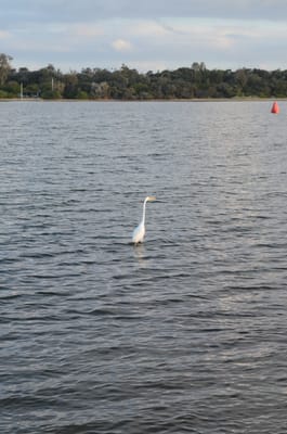 DSC_5886.JPG