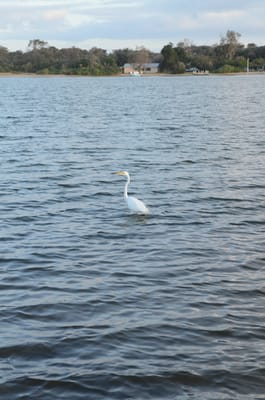 DSC_5887.JPG