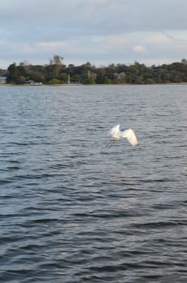 DSC_5888.JPG
