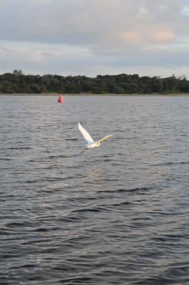 DSC_5889.JPG