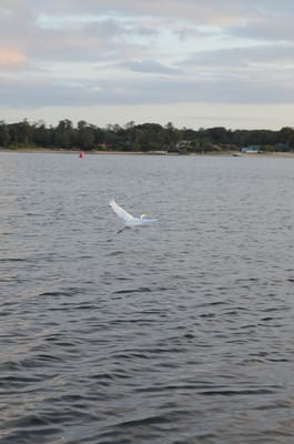 DSC_5890.JPG